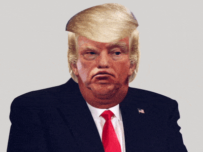 Voicy - GIF Trump Press Conference Cartoon