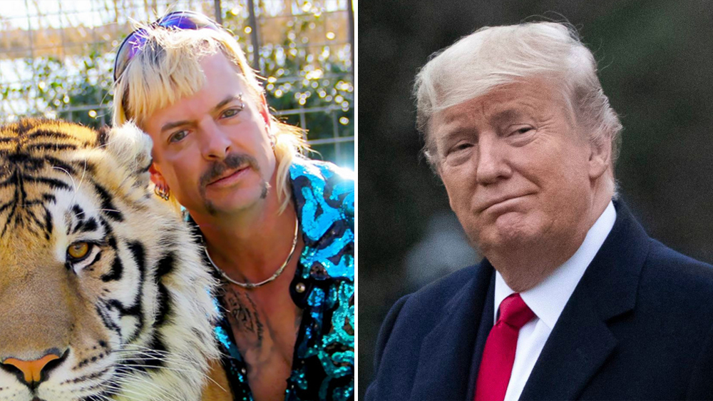 Voicy sounds blog on Joe Exotic teams up with Donald Trump
