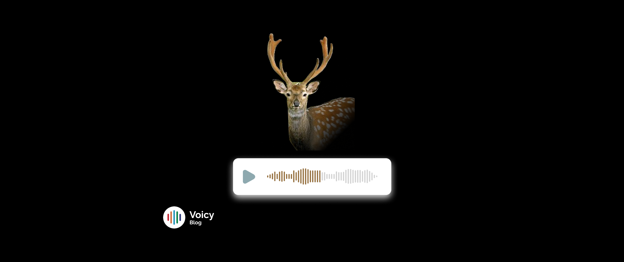 Voicy sounds blog on The Deer Soundboard with a Unique Collection of Deer Sounds